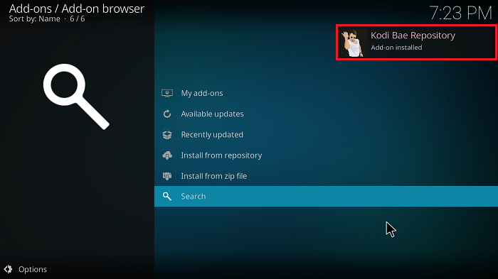 Kodi Bae Addon Installed