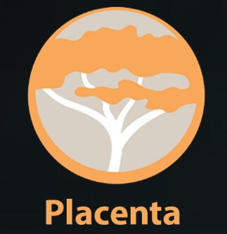 How to Install Placenta Kodi addon