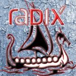 Install Radix Kodi addon